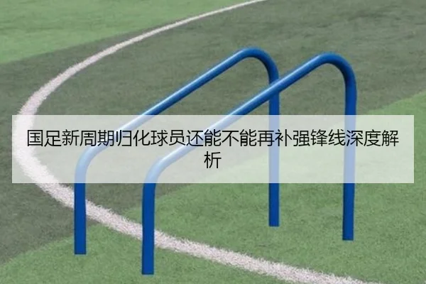 国足新周期归化球员还能不能再补强锋线深度解析
